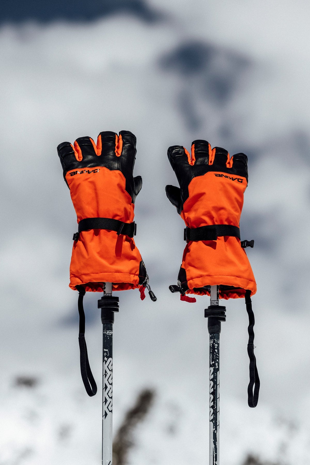 Phoenix GORE-TEX Glove